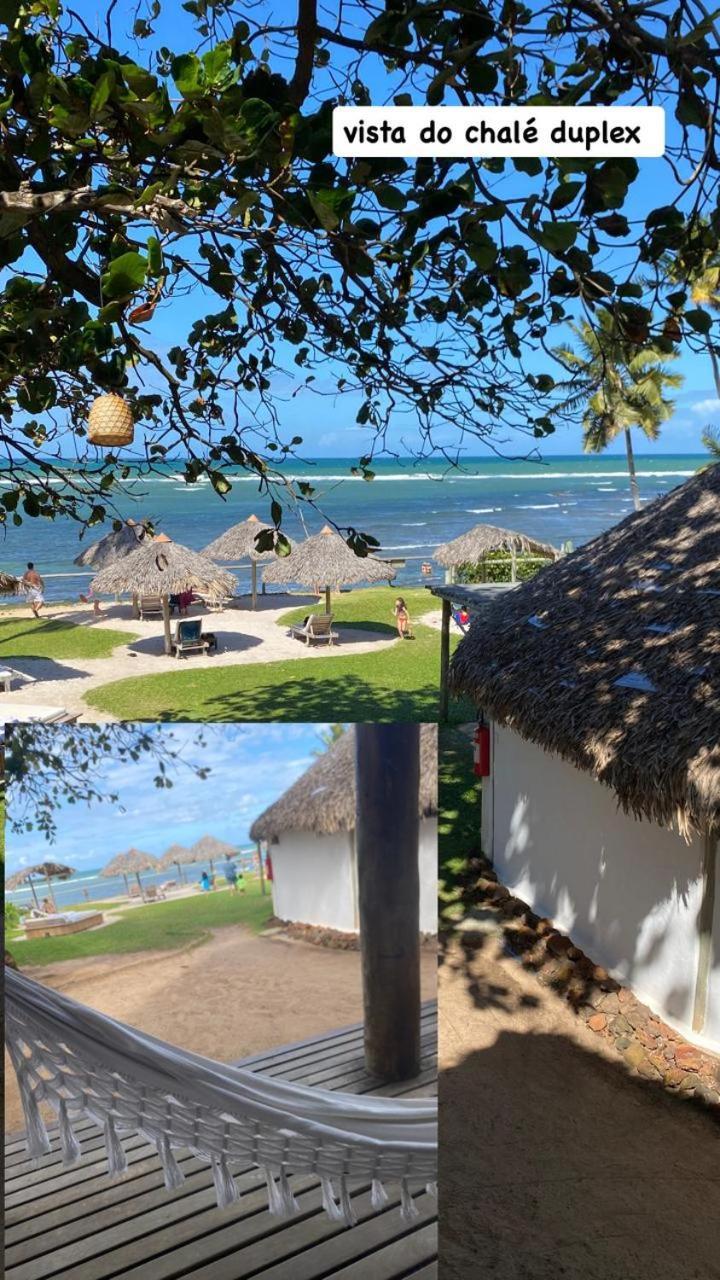 Pousada Farol Das Tartarugas Praia do Forte Exteriér fotografie