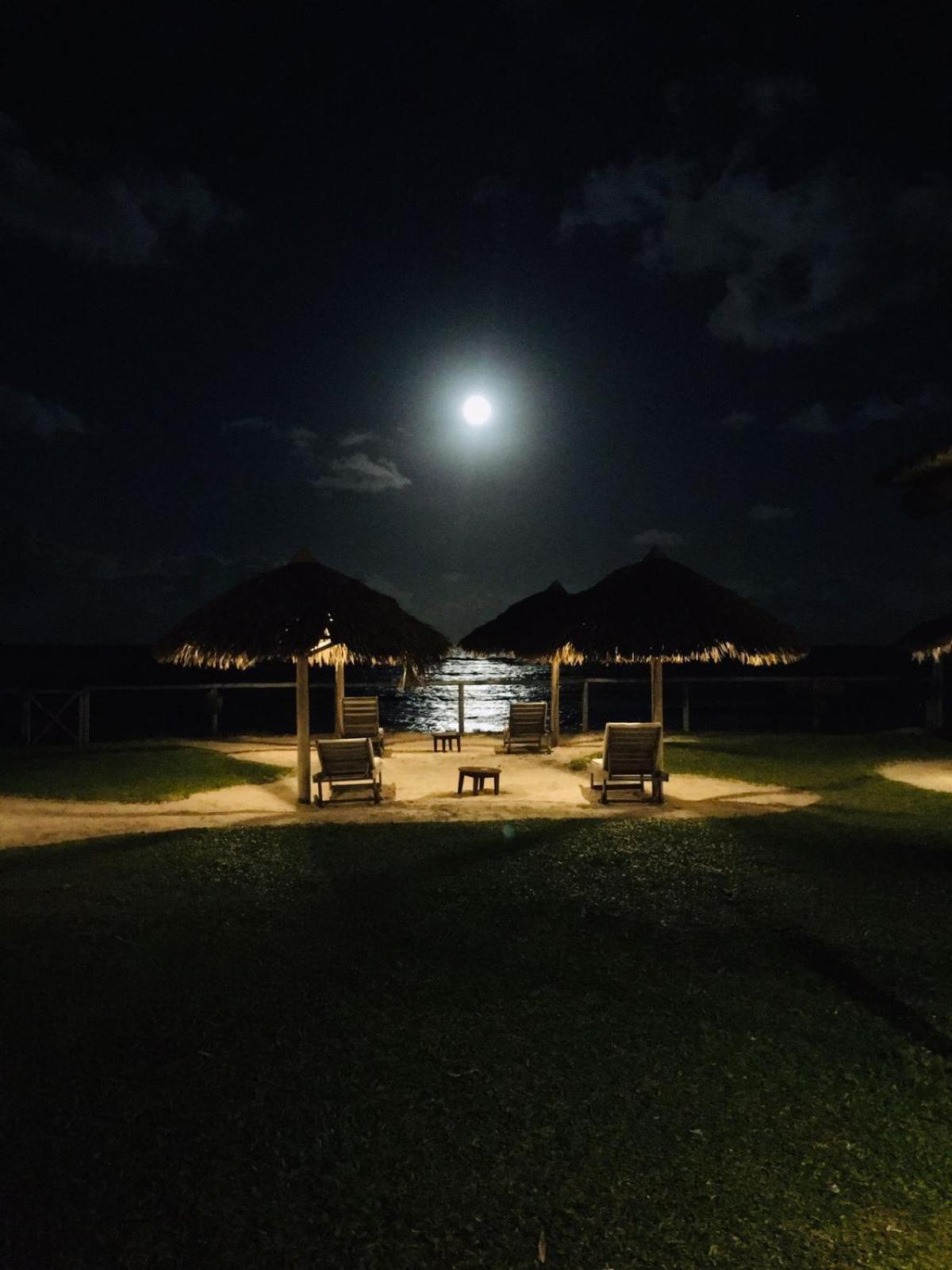 Pousada Farol Das Tartarugas Praia do Forte Exteriér fotografie